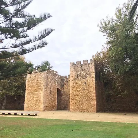 Apartamento Bel Au Bord De La Mer De Porto De Mos *